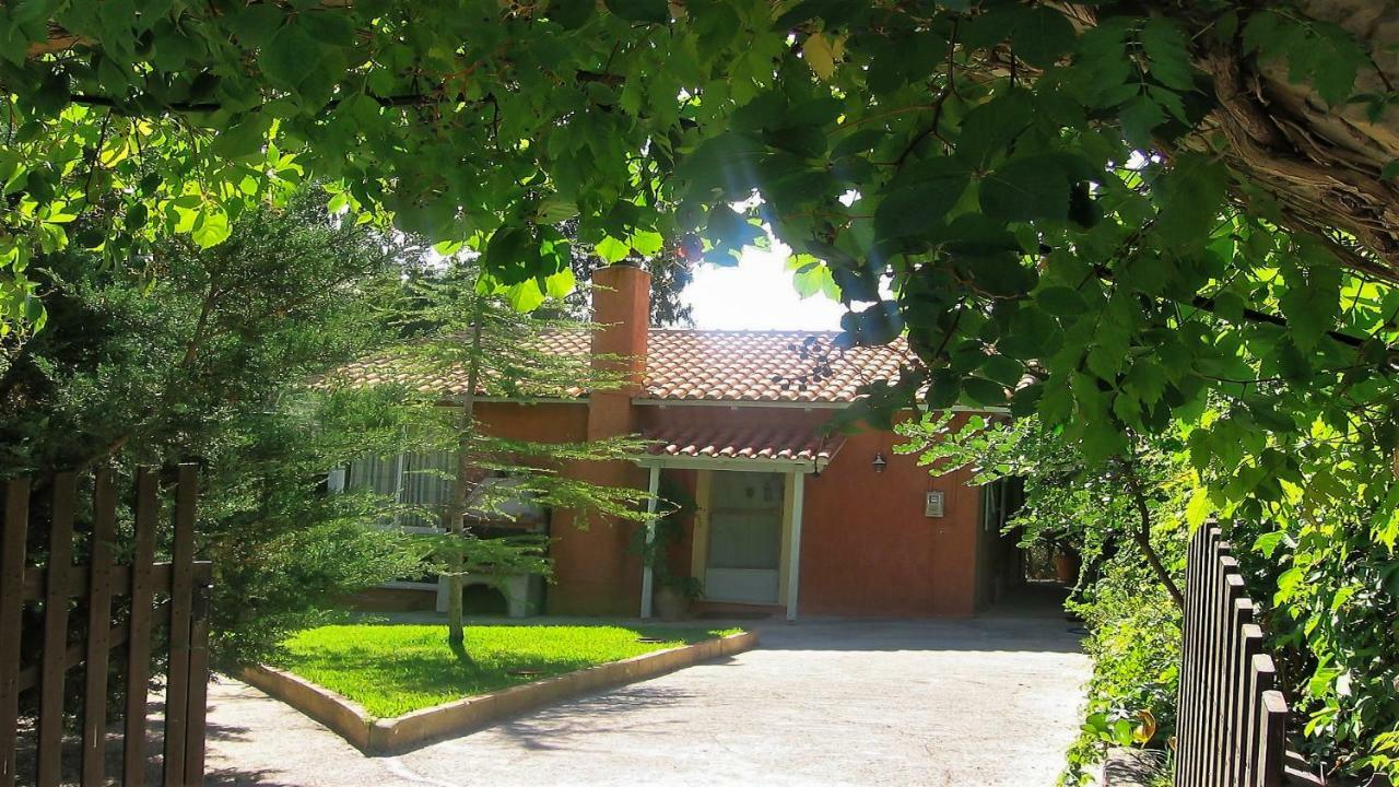 ספרטיה Mihaila Bungalows מראה חיצוני תמונה